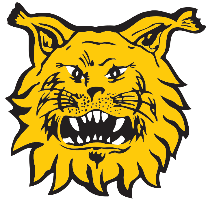 Keltaoranssi ilveksen naama, toisin sanoen tupsukorvien (Tampereen kovin jengi) logo